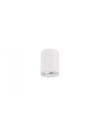 Faretto Spot GU10 Orientabile Cookie Cilindro Bianco Trio Lighting