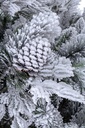 Albero Arves Innevato H150-970Rami