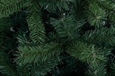 Albero Bellamonte Fr H210-1145Rami