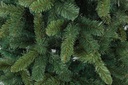 Albero Bellamonte H210-1145Rami