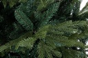 Albero Bernina H240-4117Rami