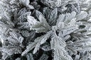 Albero Bernina Innevato H210-3144Rami