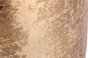 P.Vaso Varanasi Stand To Oro H42