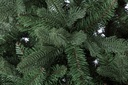Albero Frejus H150-1194Rami