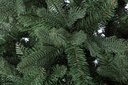 Albero Frejus H400-8819Rami