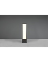 Paletto Rettangolare Da Esterno Fuerte Antracite IP54 Trio Lighting
