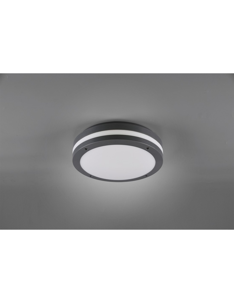 Plafoniera Da Esterno Kendal Led IP54 Antracite Ø30 cm Trio Lighting