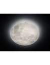 Plafoniera Led Fasi Lunari Effetto Luce Notturna Lunar Ø60 cm Trio Lighting