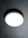 Plafoniera in alluminio pressofuso, diffusore termoplastico opalino, 28W, 3700 lumen, luce calda, IP65 grafite