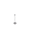 Sospensione 1xE27 Brenta Antracite Diffusore Vetro IP44 Trio Lighting