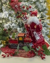 Resin led train with music cm24x8,5h17