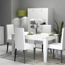 Tavolo allungabile Bianco Larice MEGARON 120/160X80 cm