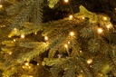 Albero Berkshire H180-3744Rami 1300Led - Samnite
