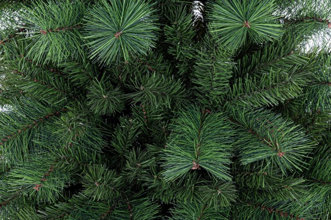 Albero Slim Alleghe H240-1043Rami - Samnite