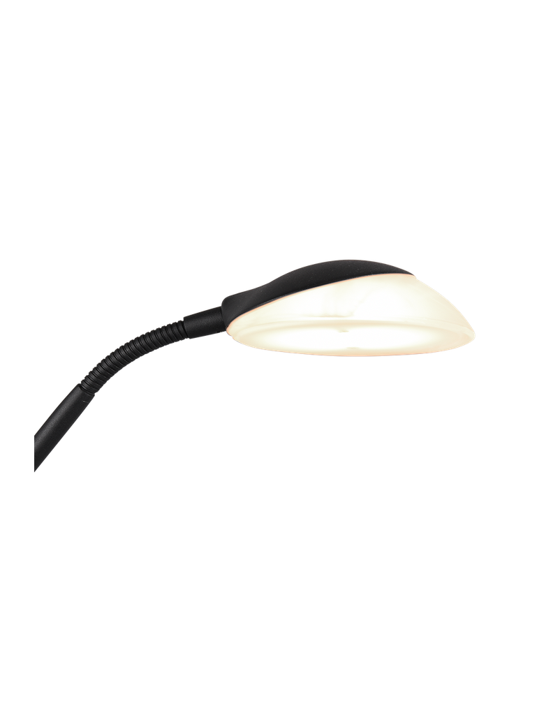 Piantana Led con Luce Spot da Lettura Orson Nero Trio Lighting - Samnite