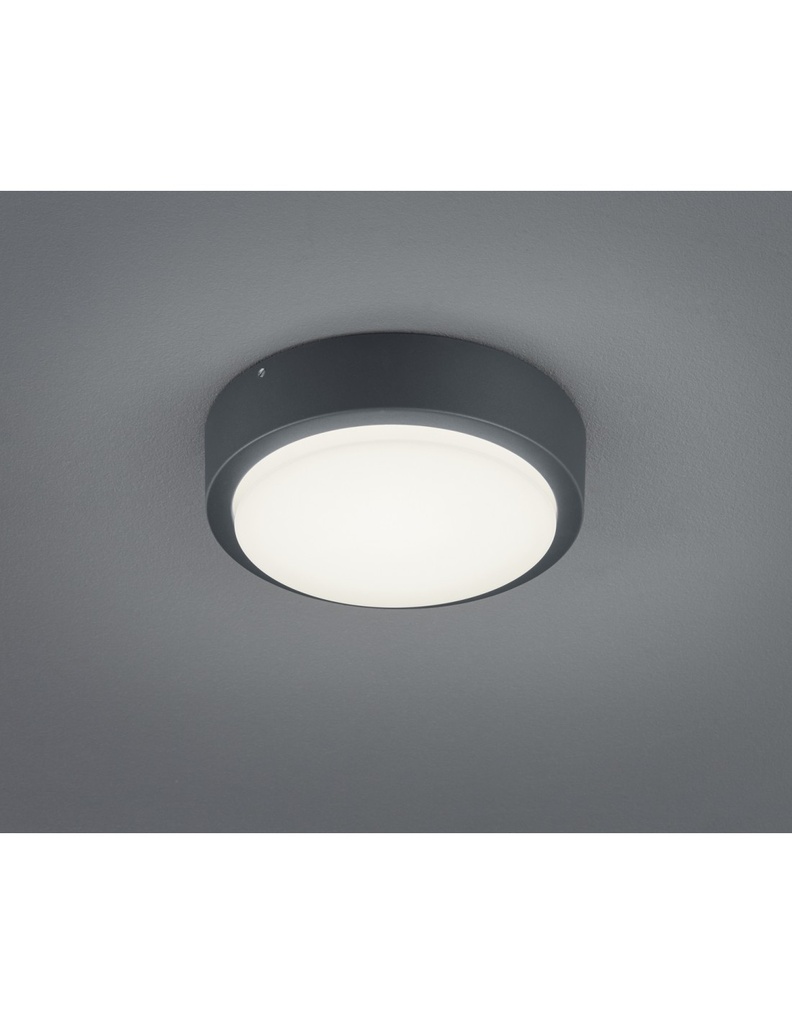 Plafoniera Da Esterno Breg Antracite IP54 Ø20 cm Trio Lighting - Samnite