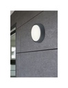 Plafoniera Da Esterno Breg Antracite IP54 Ø20 cm Trio Lighting - Samnite