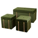 Green velvet trunk 1-2 cm80x40h44