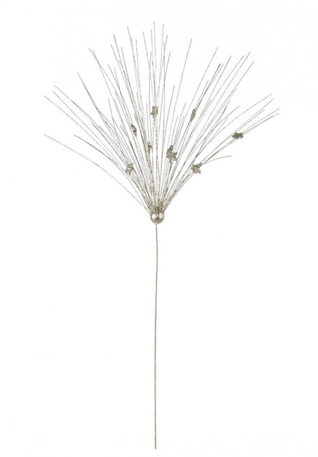 12x Pick Gleam Champagne C