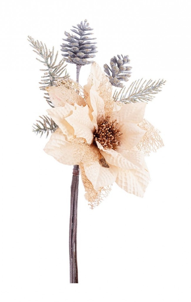 12x Pick Poinsezia Clare Beige C