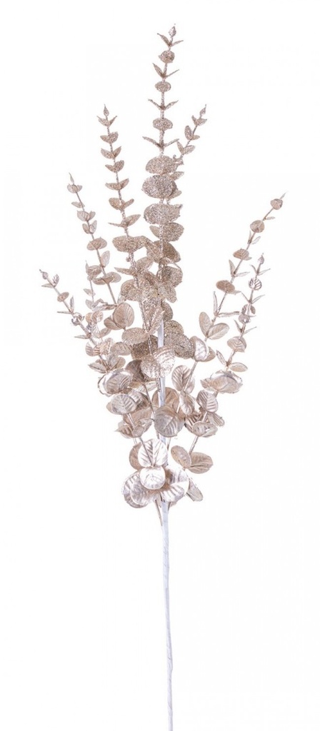 12x Ramo Jada Champagne H75Cm