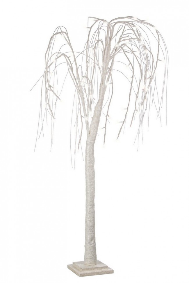 2x Albero Salice Bia Irid H120