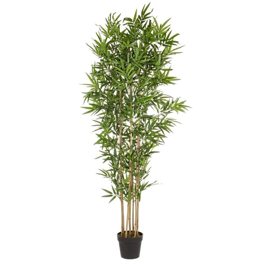 Pianta Decorazione Casa in Bamboo con Vaso 185h cm
