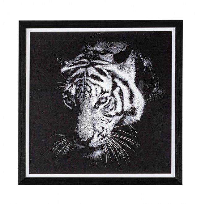 2x Quadro C-C Evidence 105 43X43