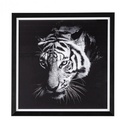 2x Quadro C-C Evidence 105 43X43