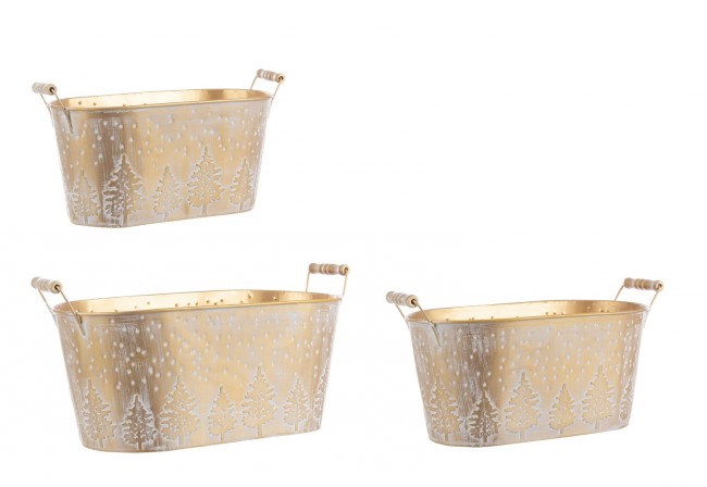 3x Set3 C.Vaso Chilly Ov Oro