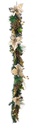 4x Boa Kyle Poinsettia Champagne H180