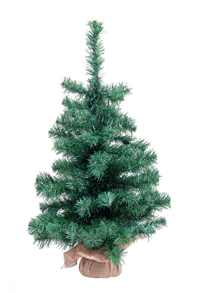 6x Albero Innsbruck H60