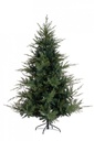 Albero Bernina H240-4117Rami