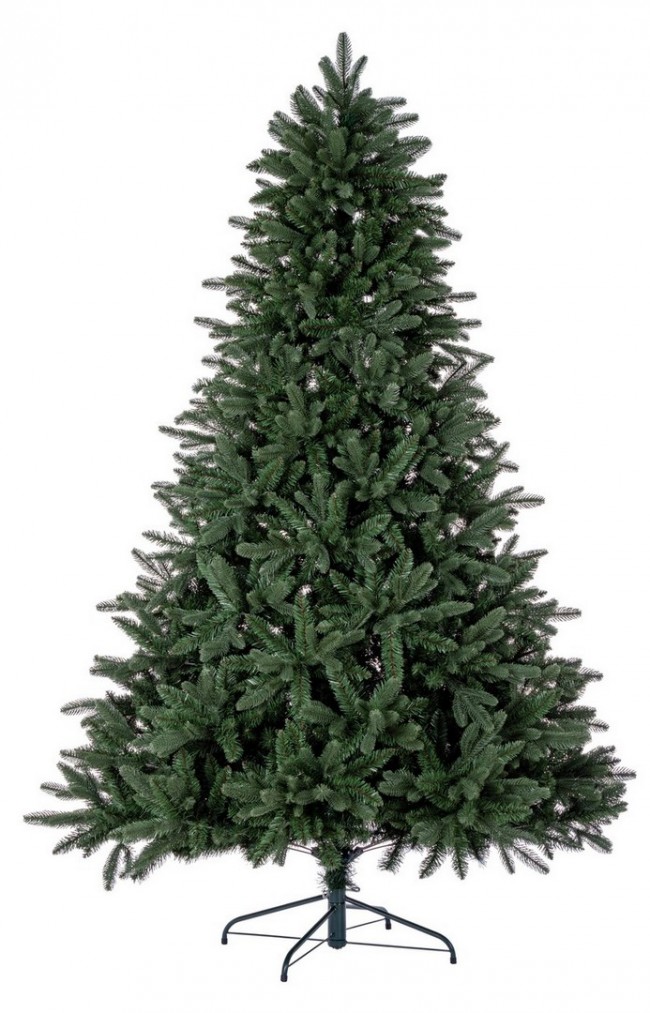 Albero Frejus H150-1194Rami