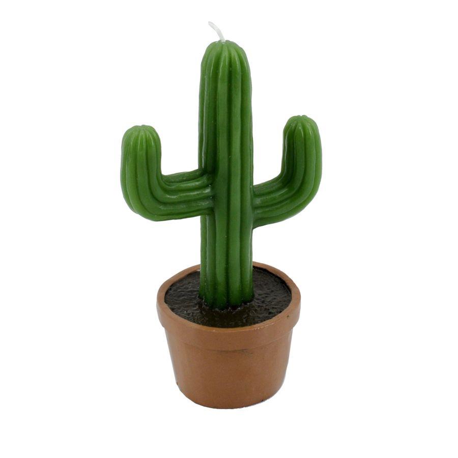 Candela Cactus con Vaso 11,2x7,7x19,6 cm