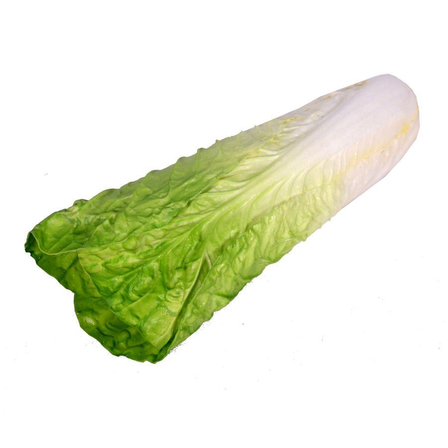 Decorazione Artificiale Insalata cmø9h35