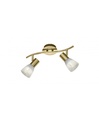 Faretto da Soffitto Orientabile Levisto Ottone Trio Lighting - 2 Spot E14