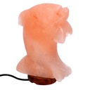 Lampada in sale con base in legno a forma di delfino - 16x7x23 cm