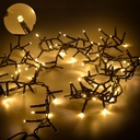 Luci Filo 300 Mini LED Bianco Caldo con Controller CM600 per Uso Esterno