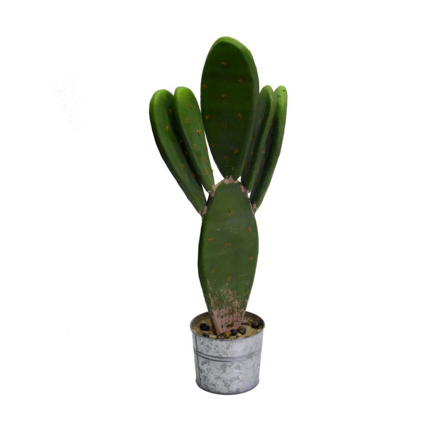 Pianta di cactus con vaso tondo ø12x22 cm