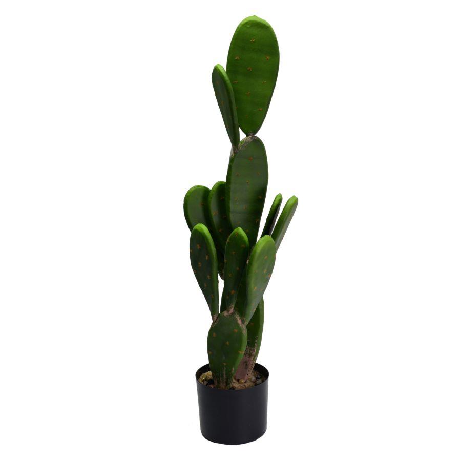 Pianta di cactus con vaso rotondo ø14x84 cm