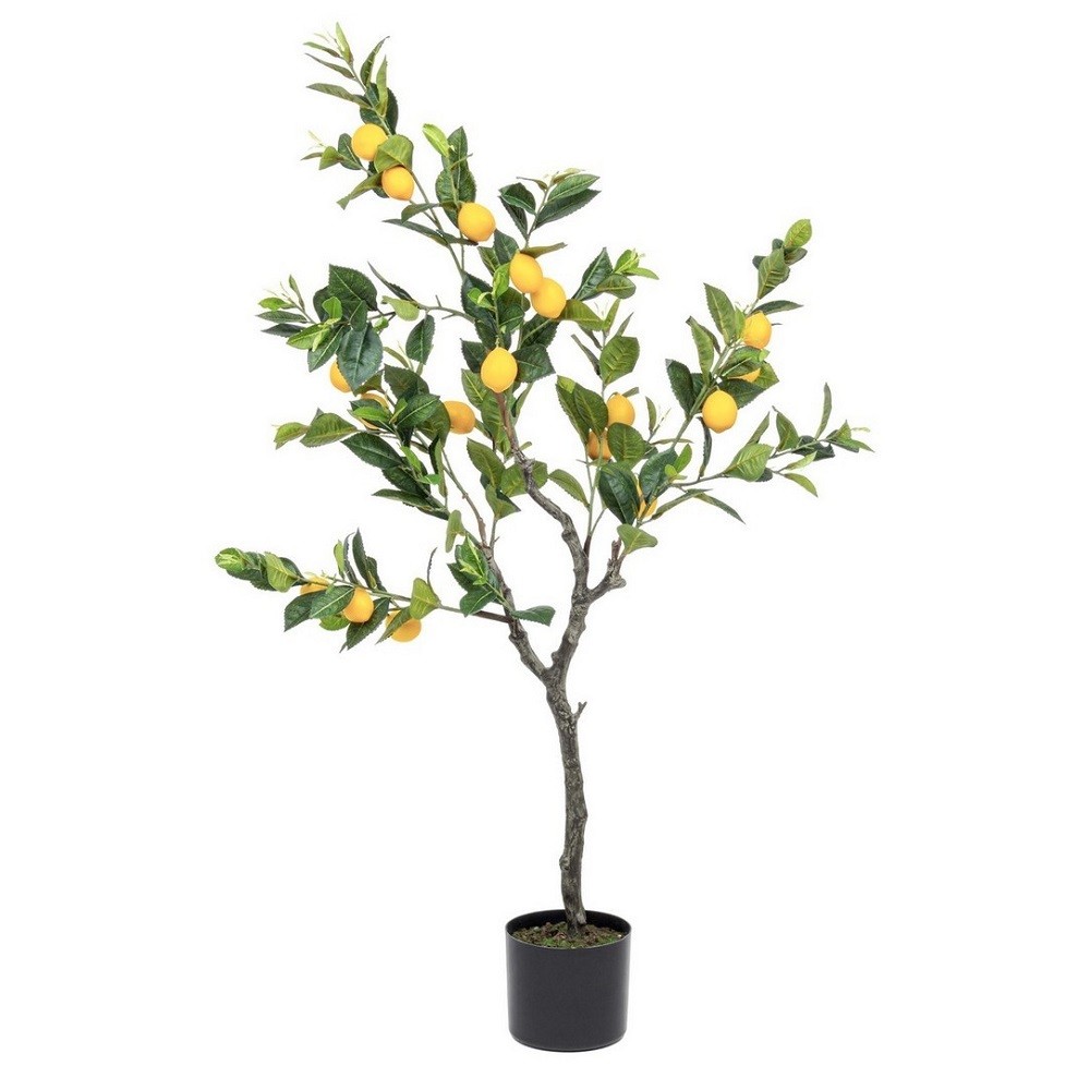 Pianta limone con vaso 198 foglie altezza cm 120