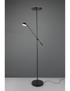 Piantana Led Con Luce Spot da Lettura Dimmerabile Haora Antracite Trio Lighting