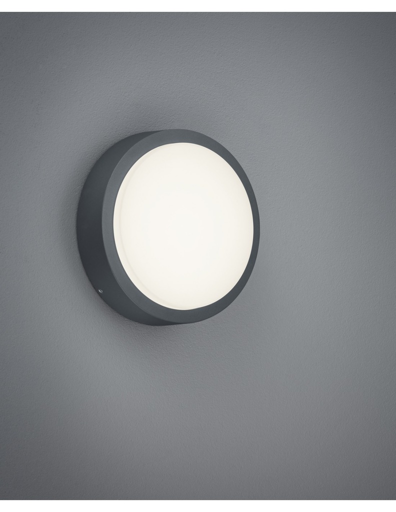 Plafoniera da Esterno Antracite IP54 Ø20 cm