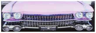 Quadro Auto Rosa su-0035 cm. 120 x 40