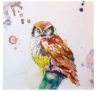 Quadro gufo cm. 80 x 80