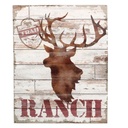 Quadro Renna in Legno 40x50x2,5 cm