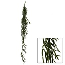 Ramo di cactus pendente cm15.2x15.2h114.3