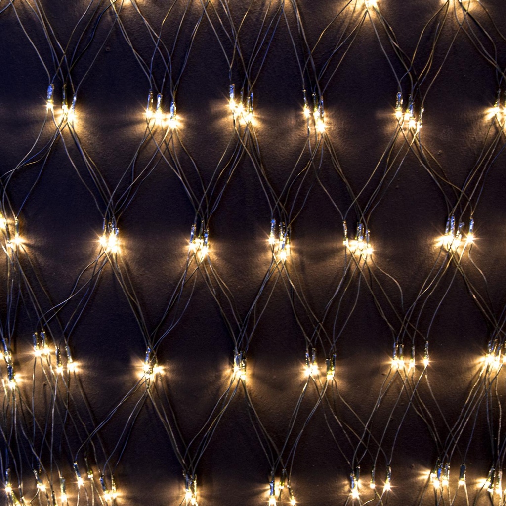 Rete 160 LED Luce Bianco Caldo a Batteria 240x120 cm