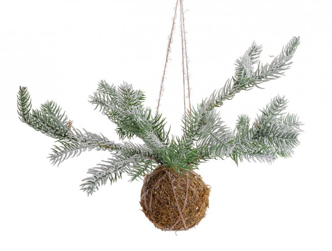 6x Decorazione Sfera Kokedama C - Samnite